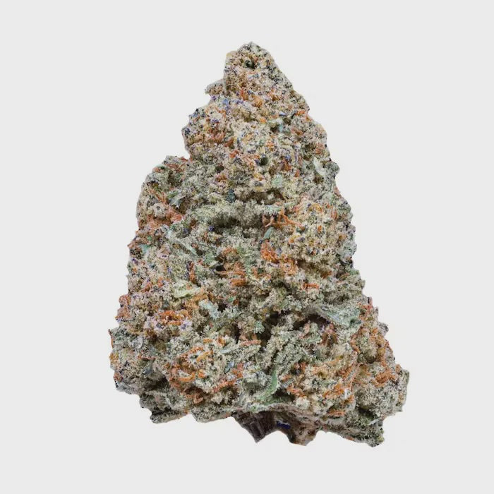 Mac 1 (Indica)