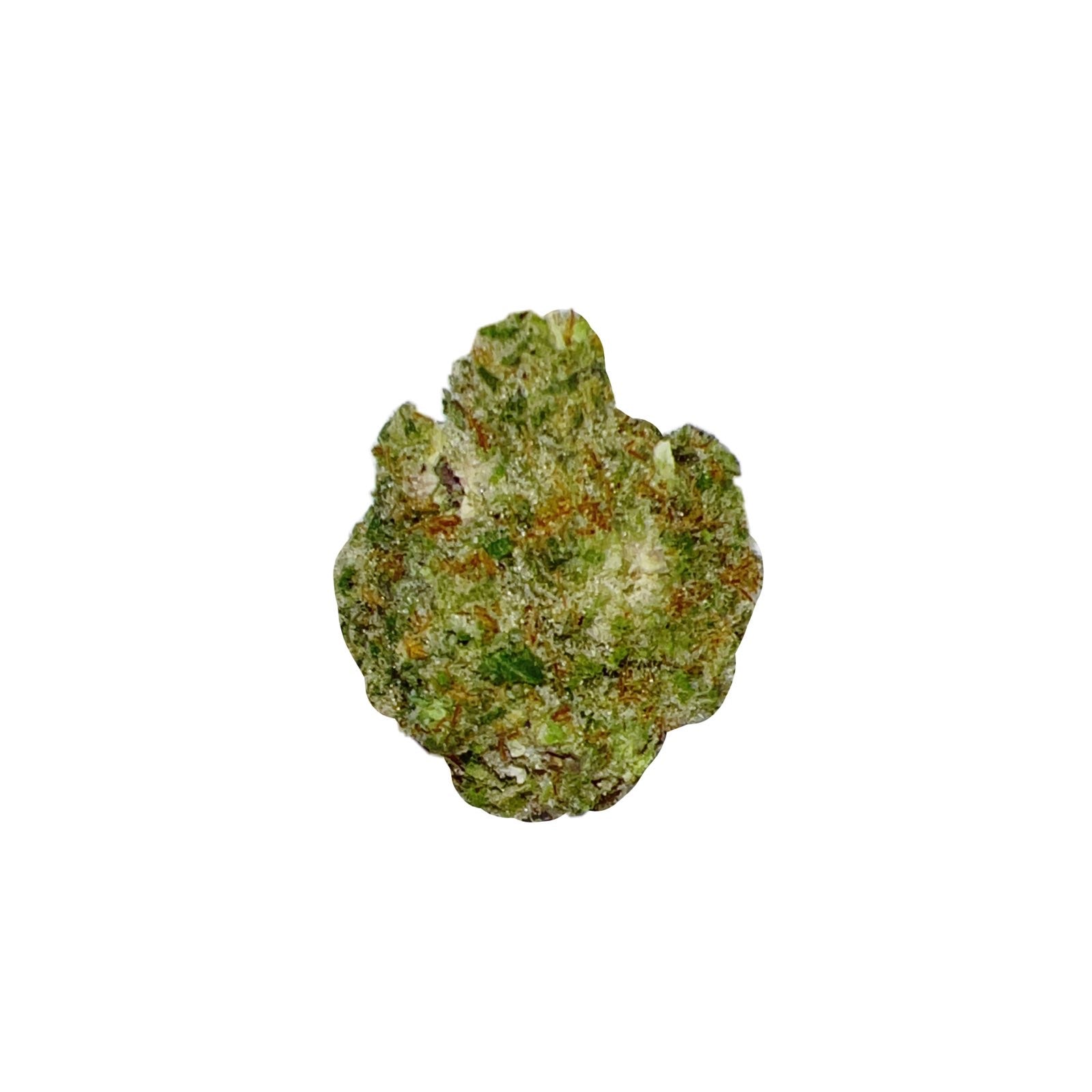 Mimosa (Hybrid)