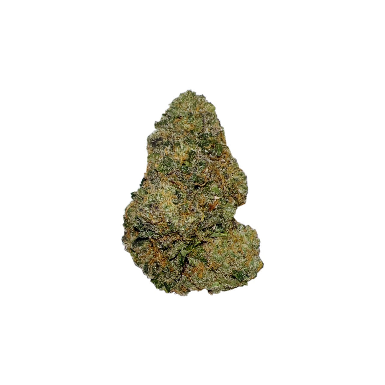 Stardawg (Hybrid)