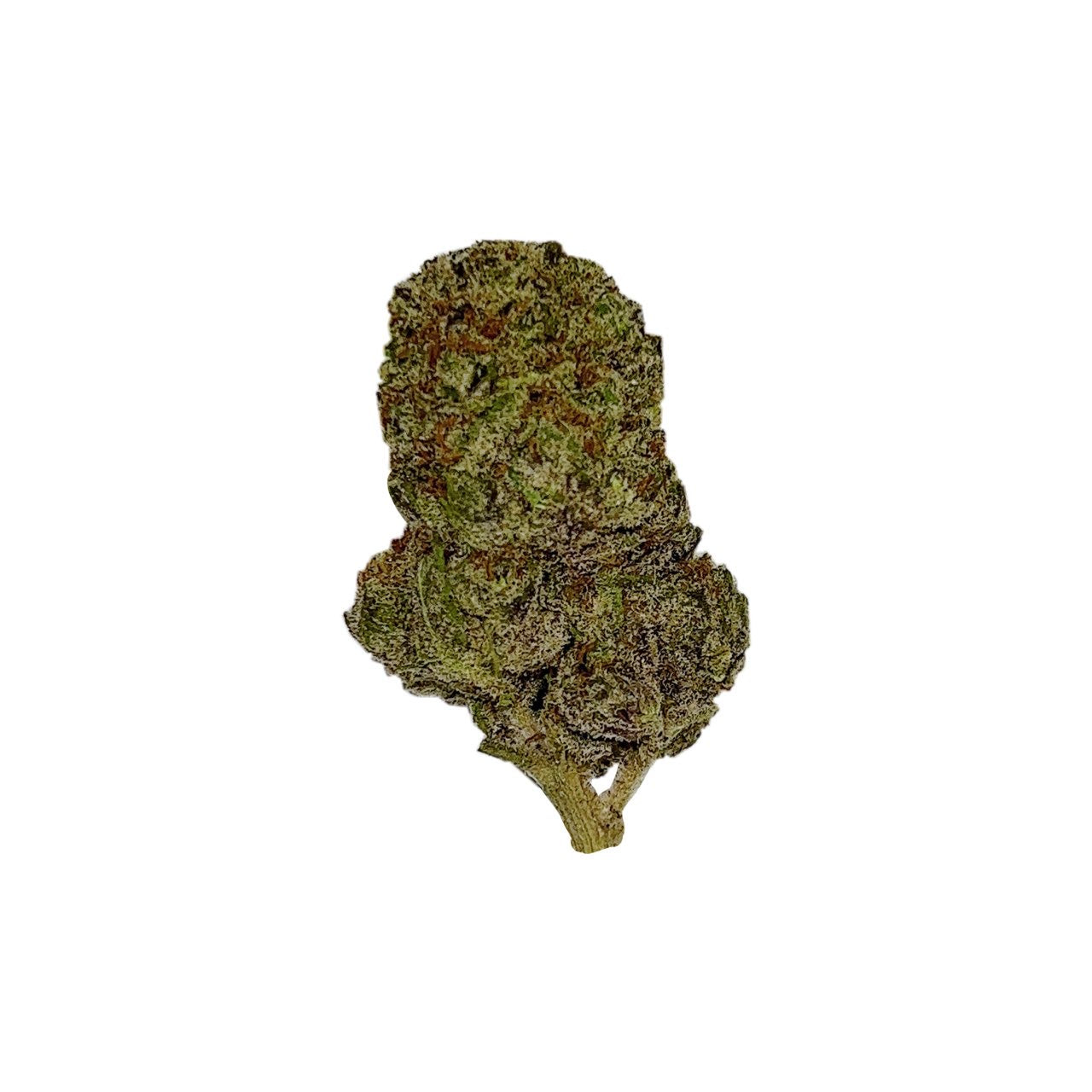 Blueberry Pancake (Indica)