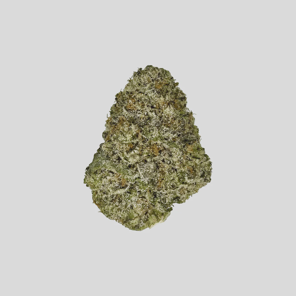 Trump Runtz (Indica)