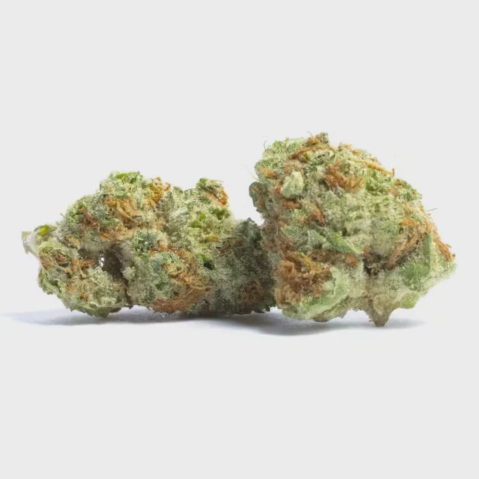 Orange Cream Pop (Hybrid)