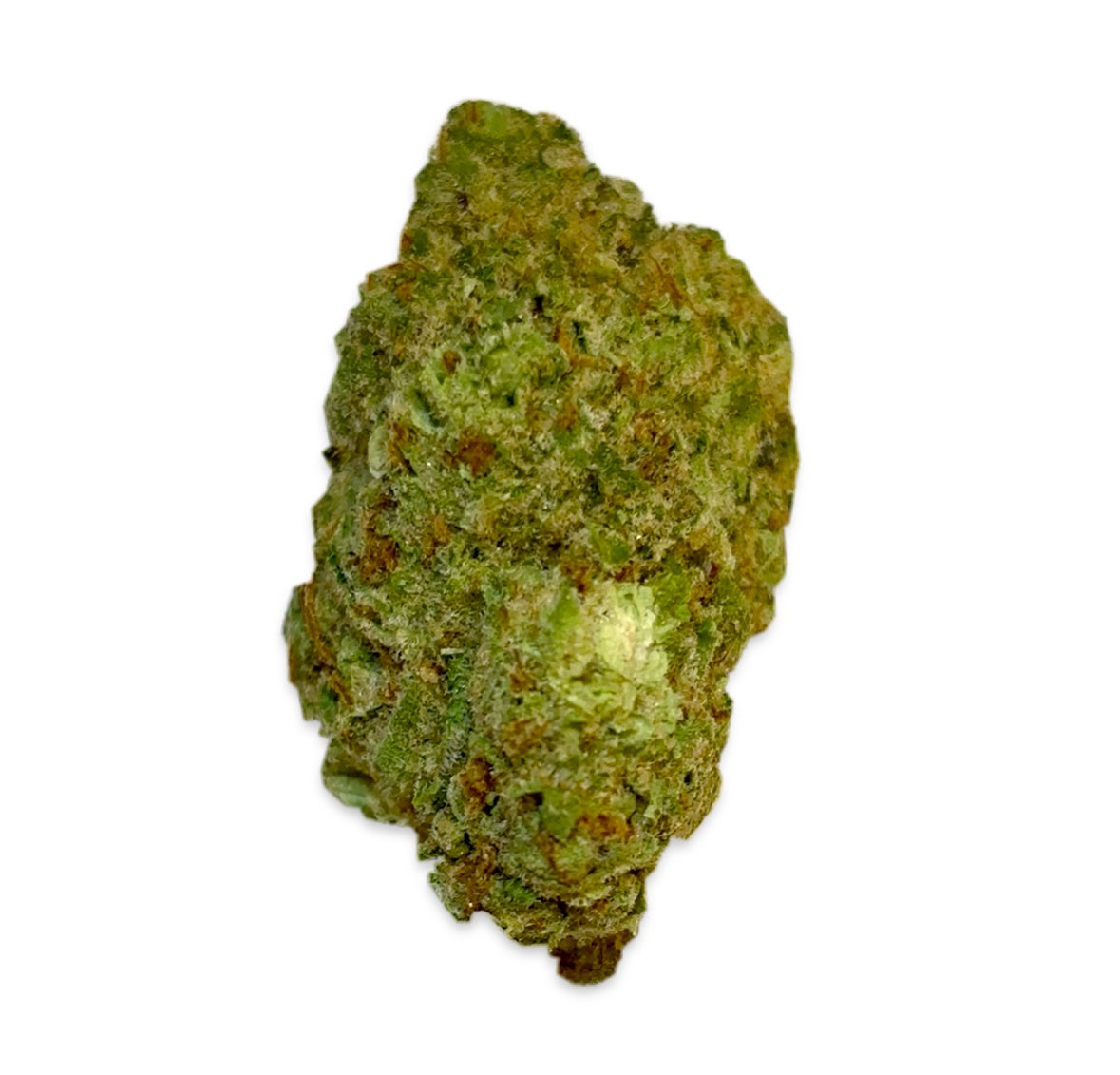 King Louis OG (Indica)