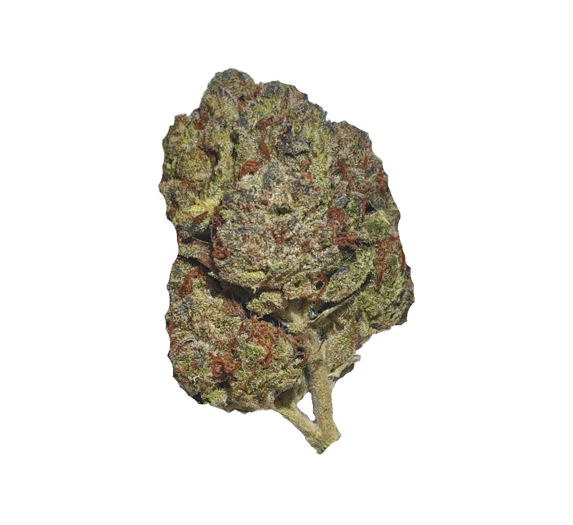 Candy Apple (Sativa)