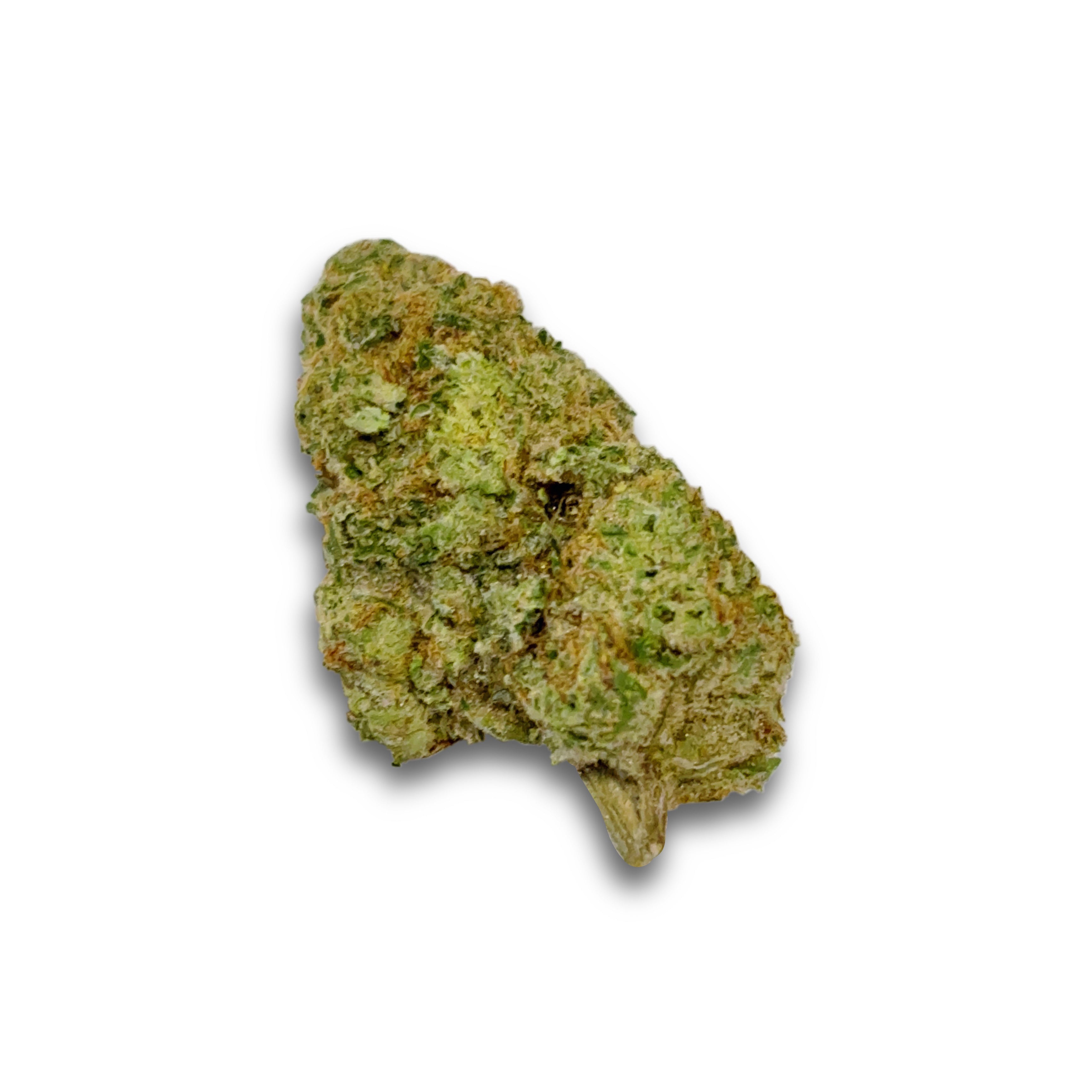 Green Slime (Sativa)