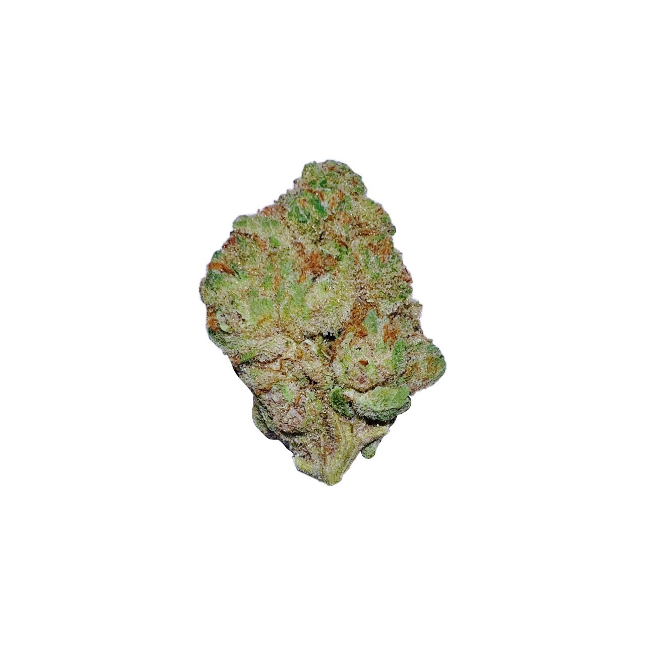 Super Boof (Hybrid)